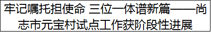牢记嘱托担使命 三位一体谱新篇——尚志市元宝村试点工作获阶段性进展