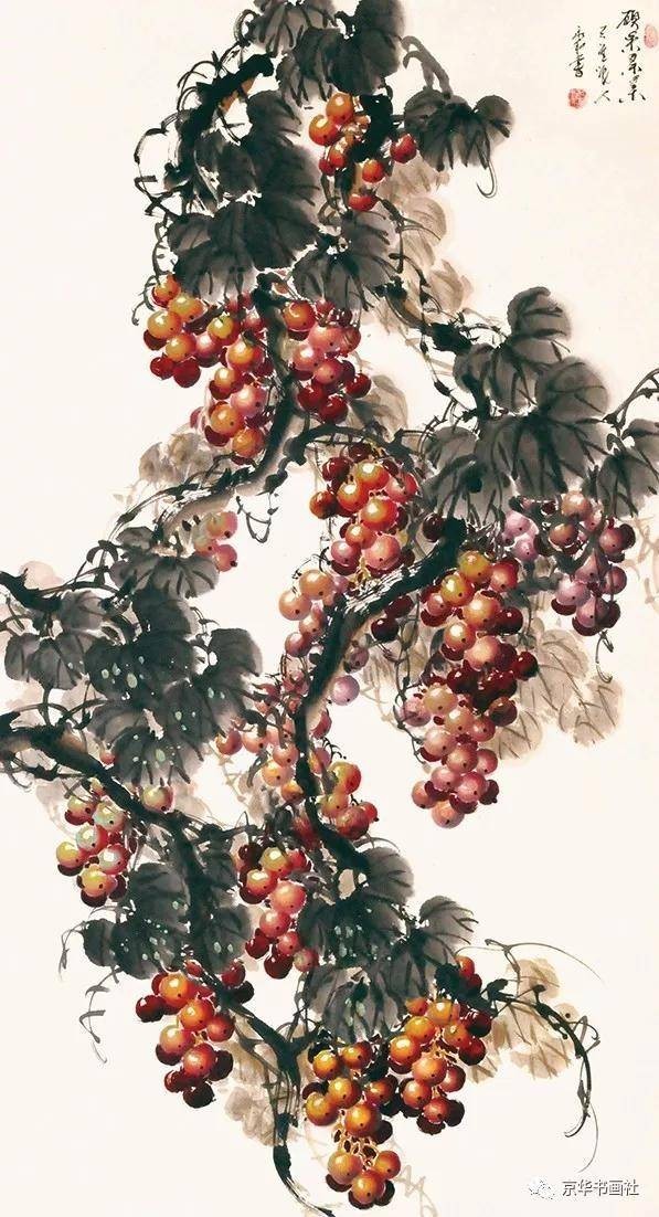 1764140475839918.jpeg c5e3976f580bcca9f1119a6f55e3b9ae_9d379a76fef8ee05.jpeg