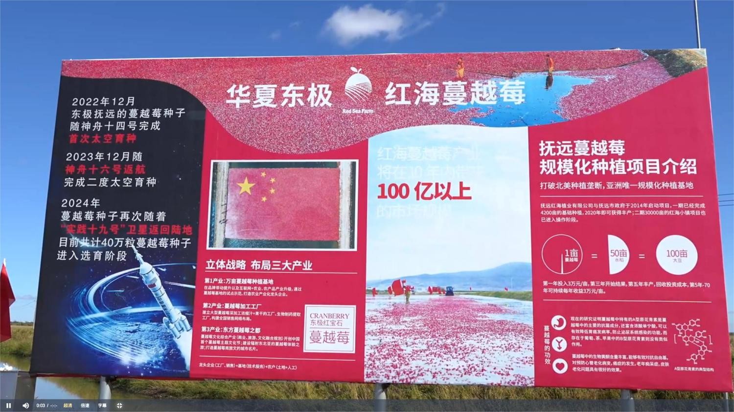 1762254063742809.jpg 2(1).jpg