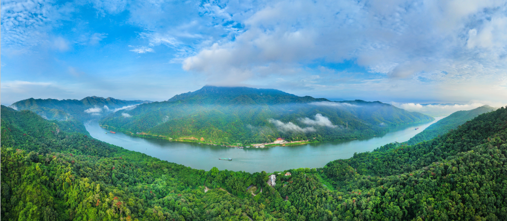 1763776231228143.png 17.png