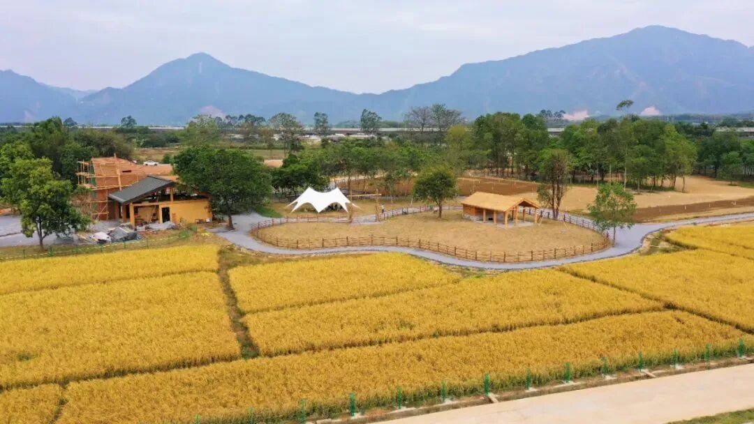 1763776355335752.jpg 24.jpg