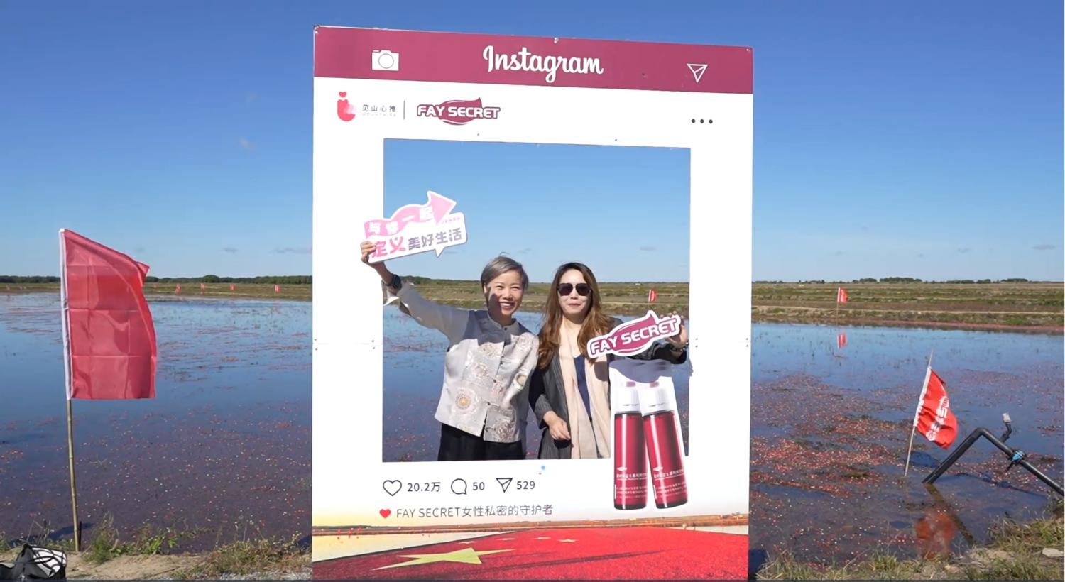 1762254105929939.jpg 5(1).jpg