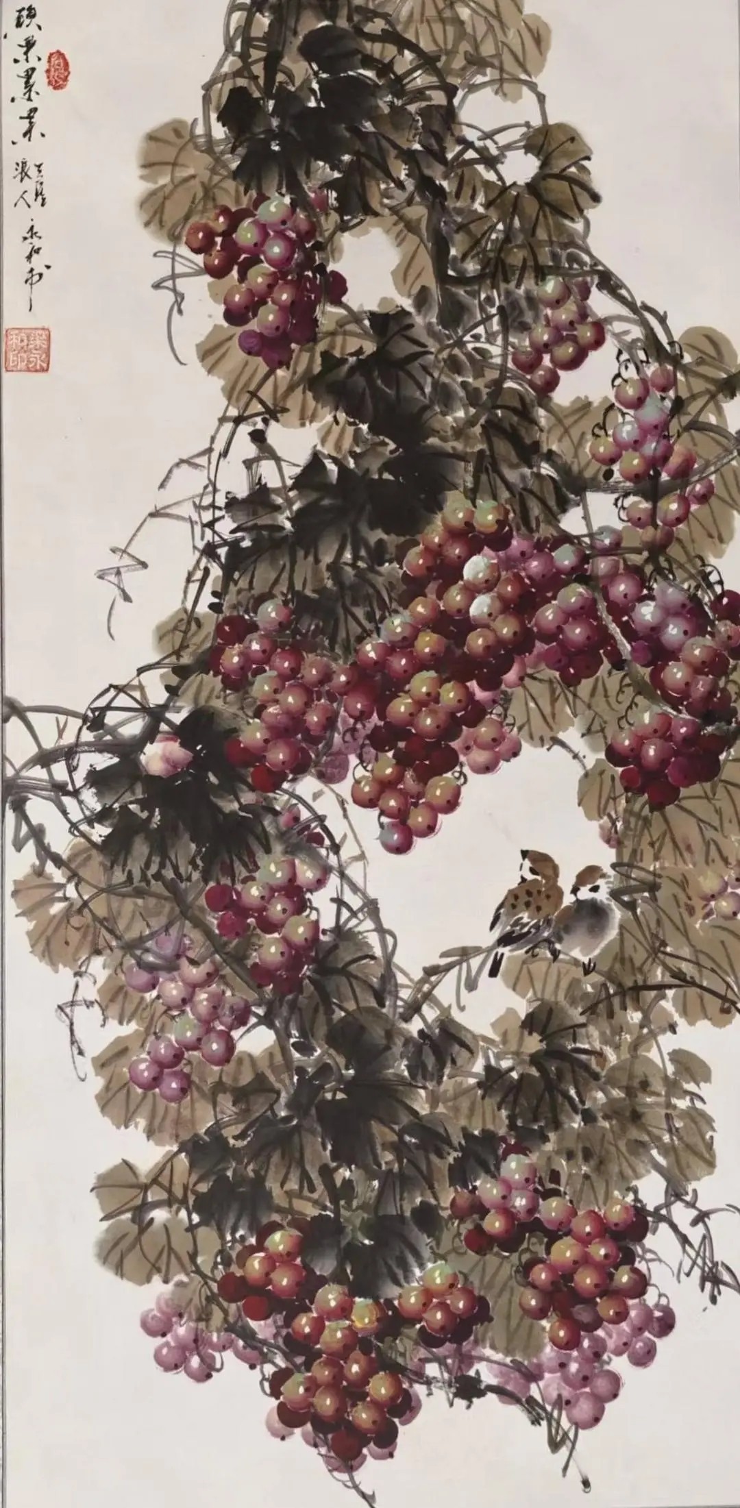 1764140300364326.jpeg 3ae701b4b10f1525612fe8b26bbf7da1_1d9f4c037b4318b8.jpeg