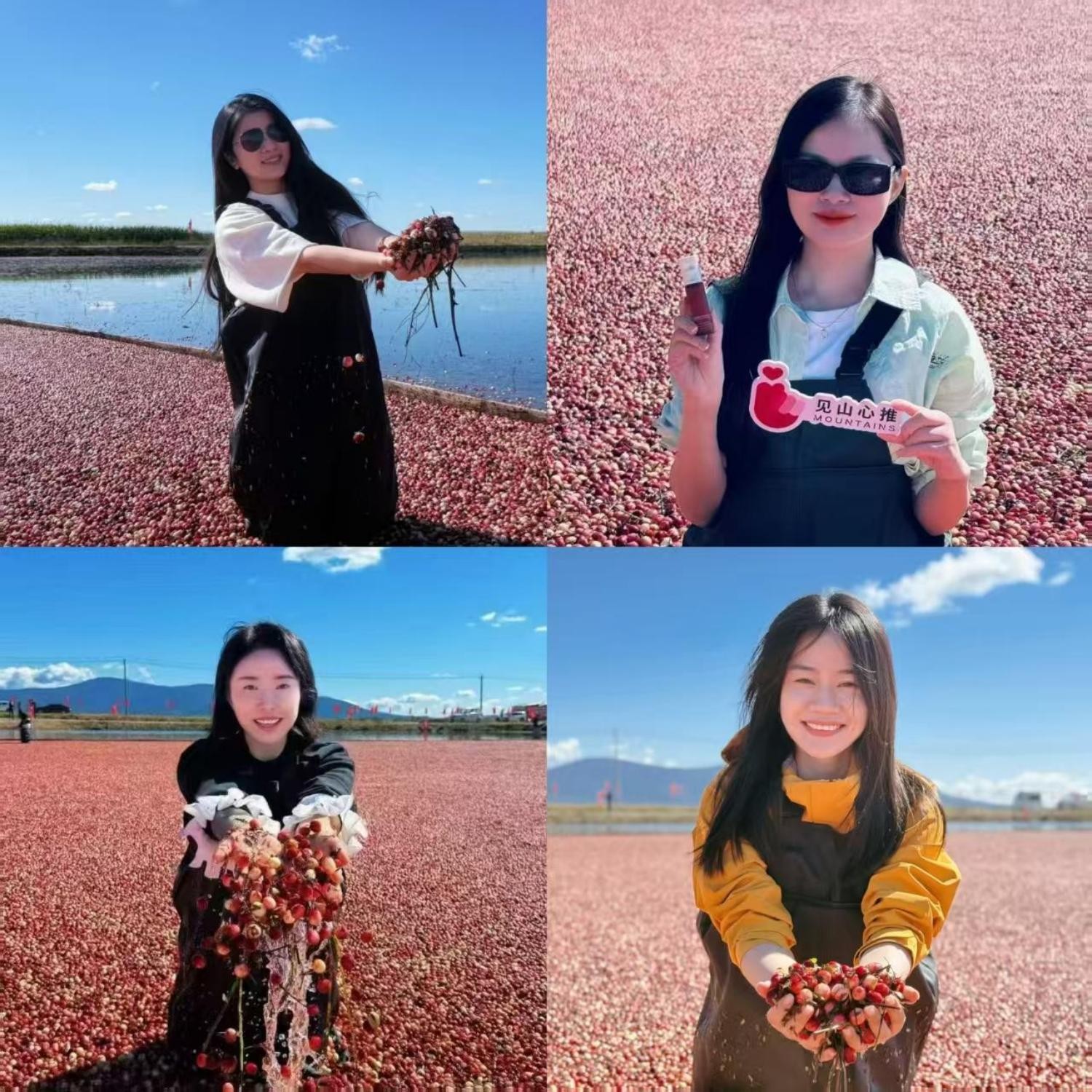 1762254114489829.jpg 6(1).jpg