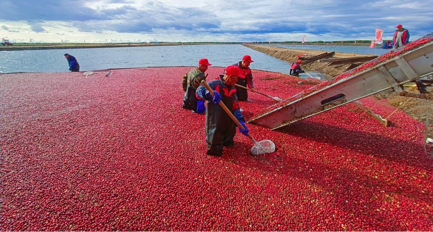 1762254070339009.jpg 3(1).jpg