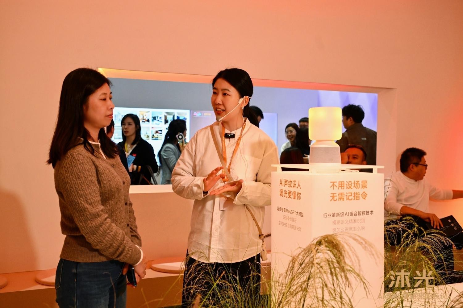 1764983791375791.jpg 5(1).jpg