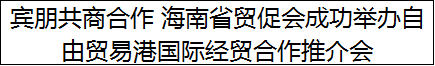 宾朋共商合作 海南省贸促会成功举办自由贸易港国际经贸合作推介会