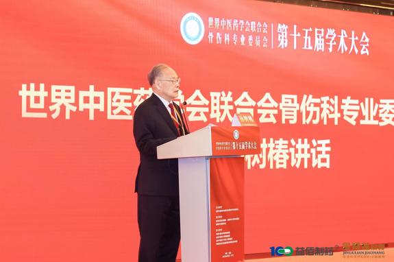 世界中医药联合会骨伤科专业委员会第十五届学术大会在深召开    中医骨伤传承引热议