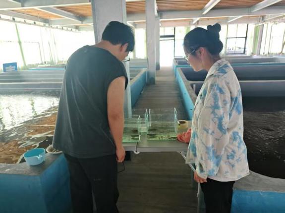 扎根产业创新实践：大学生团队在顾赛麒教授指导下探索富氢水养殖工厂化水产升级新路径