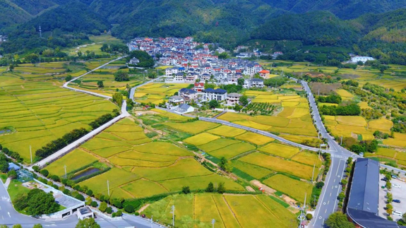 乡村文旅新干线揭秘富阳银湖街道大地村的诗与远方