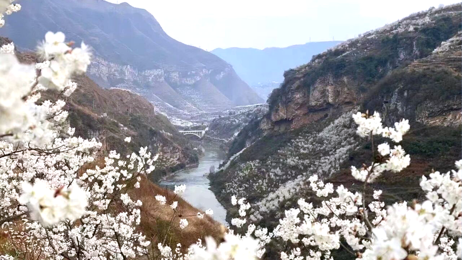 1773824824428331.png 3(1).png