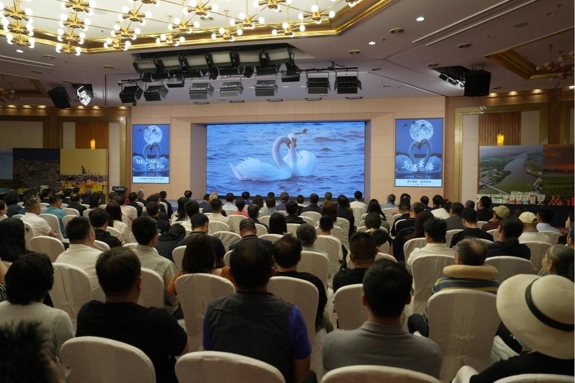 秉爱为志，共赴心期——鲲鱼健康学术论坛共探母婴营养实践路径