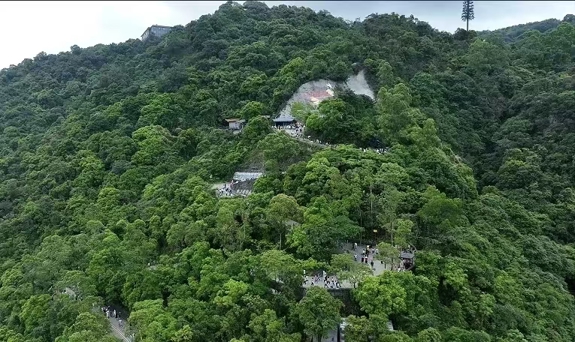 法典护航下广东观音山逆境中深耕绿色担当